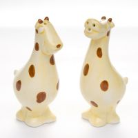 Ceramic Salt Shaker