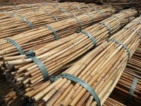 rattan peeled/ rattan poles