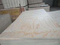  Competitive Price Commercial Plywood for Furniture, decoration and packing