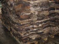 Wet Salted And Dried Donkey Hides
