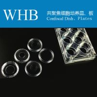 High Quality WHB Sterile Glass Bottom