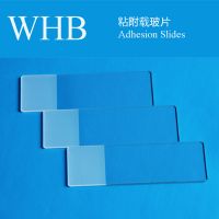 Wholesale High Quality WHB Colorful Adhesion