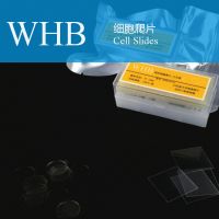  Wholesale TC Treatment Cover Glass