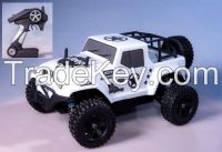 , 2.4G 1:16 RC 4WD