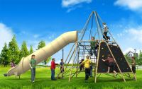 Professional QS Teenager Series Outdoor Playground