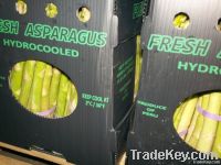 Fresh Asparagus