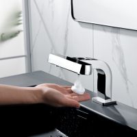 Toilet Two In One Faucet And