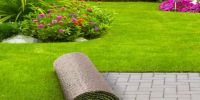 ARTIFICIAL  GRASS