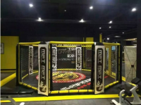 Hot Sale Competition Events Floor Standing Fighting Octagon Mma Cage