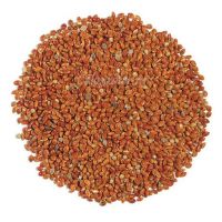 RED SORGHUM