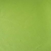 Devraaj Handmade Woodfree Paper Green