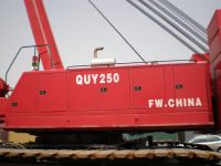 FUSHUN CRAWLER CRANE 250 Ton 