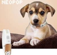 Pet Band