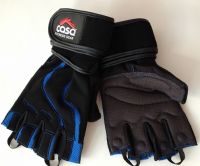 Gym Gloves