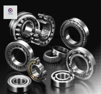 China Factory Supply Single Row and Double Row Taper Roller Bearing