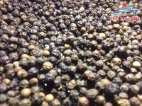 Black and White Pepper from Vietnam