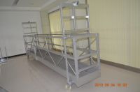 Factory Manufacturing CE Approved TDT Suspended Platform ZLP630