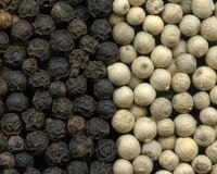 rice, pepper, cinnamon, coffee beans 