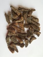 Dried Morchella(morels