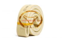Heat Resistant Felt Para-aramid Endless