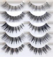 False Eyelashes