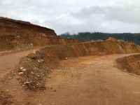 Nickel Ore Fob