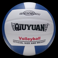Volley Ball-1