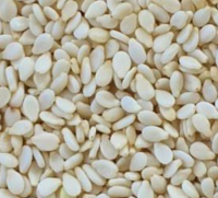 Sesame Seed