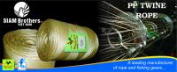 Polypropylene (PP) Twine --- CHEAP and HIGH QUALITY