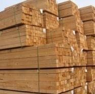 Long Hardwood Lumber and Sawn Lumber &amp; Construction Timber , ntire Logs of Trees in Nature for Imported Wood Raw Materials , Lumber/Sawn Timber/Acacia/Hardwood/Wood