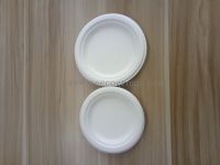 Environmentally bagasse Pulp Disposable plate