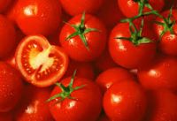 Fresh Cherry Tomato For Sale