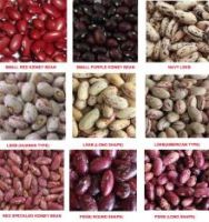 Kidney Beans