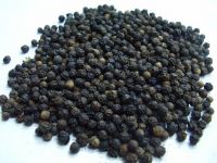 Black Pepper (Piper Guineense