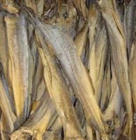 Quality Dried StockFish From Thailand