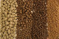 Fish Feed, Fish Meal, Poultry Meal for Fish Feed