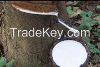 We Global World Ltd Is A