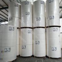 Wood Pulp, Vigin Pulp, Fluffy Pulp