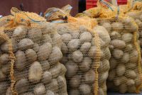 Packing vegetable raschel mesh bag