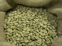 High Quality Arabica Coffee Beans/ Robusta