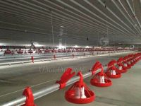 Broiler chicken house&Acirc;&nbsp;and rearing equipment system