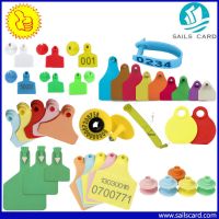 Livestock Animal Ear Tags For Cattle