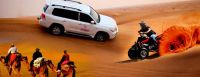 desert  safari dubai by dream night tours