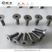 Micro M2.5 Allen Head Tungsten
