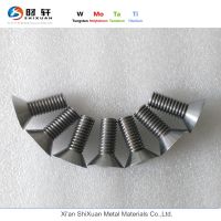 Pure Tugnsten Cap Screws And Nuts