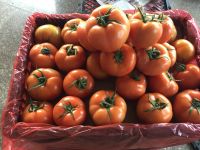 fresh fruits and vegetables from China