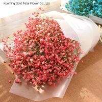 Factory Direct Supply Dried Flower Gypsophila