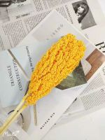 Premium Quality Fresh Flower Decorative Dried