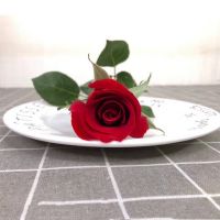 Direct Farm Supply Wholesale Fresh Flower