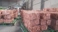 Pure Copper Wire Scrape For Sale